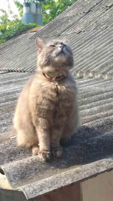 Прикрепленное изображение: 1723187325195.jpg